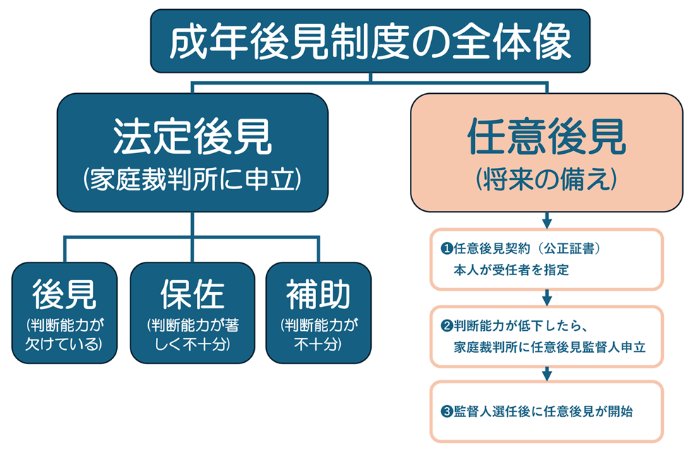 成年後見制度の体系図｜任意後見と法定後見の違い
